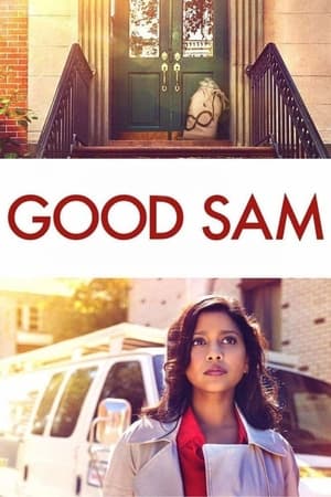 Good Sam 2019 Hindi Dual Audio 480p Web-DL 300MB