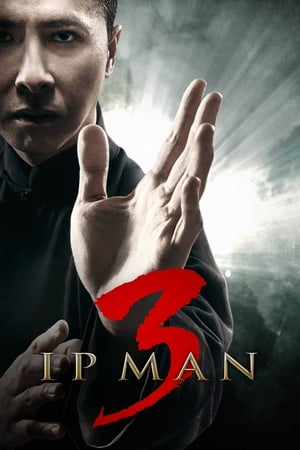 Ip Man 3 (2015) Hindi Dual Audio 720p HDRip [900MB]