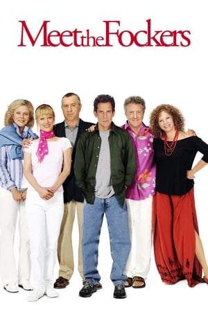 Meet the Fockers 2004 Hindi Dual Audio 480p BluRay 350MB