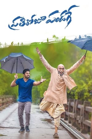 Prati Roju Pandage (Har Din Diwali) (2019) Hindi Dubbed 720p HDRip [1.1GB]